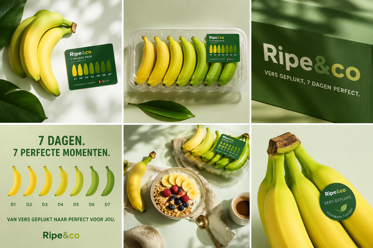 Ripe & Co brand overview