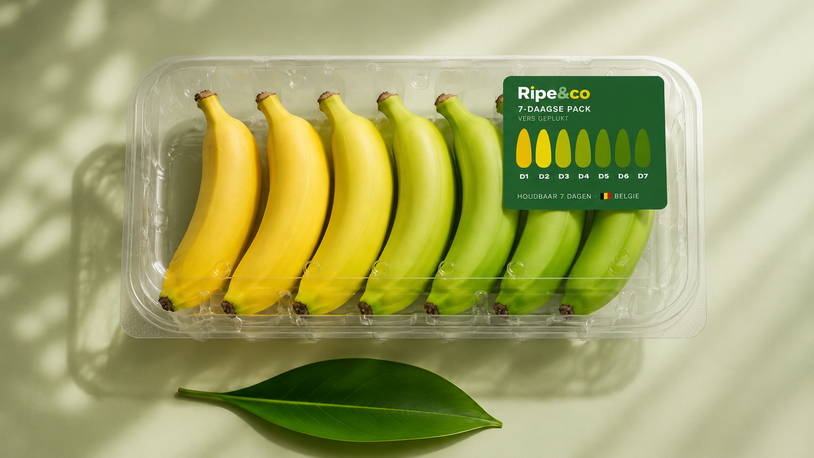 Ripe & Co 7-daagse pack van bovenaf